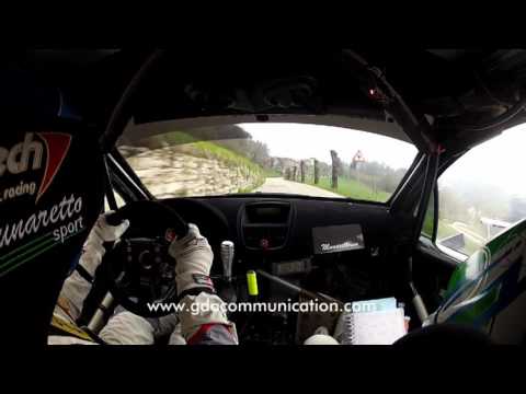 Domenico Erbetta - Rally del Grifo 2017 - Ps 5 "Valdagno"