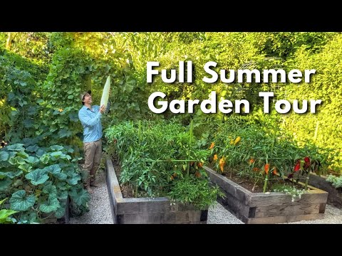 Full Summer Garden Tour 2025