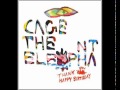 Cage The Elephant - Flow (Lyrics)