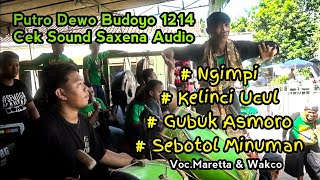 Download lagu Cek Sound Ngimpi, Kelinci Ucul, Gubuk Asmoro, Sebotol Minuman - Putro Dewo Budoyo - Saxena Audio mp3