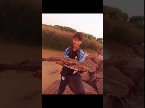 Pesca variada de semana con Juan Pablo atalaya Magdalena (provincia de Buenos Aires)