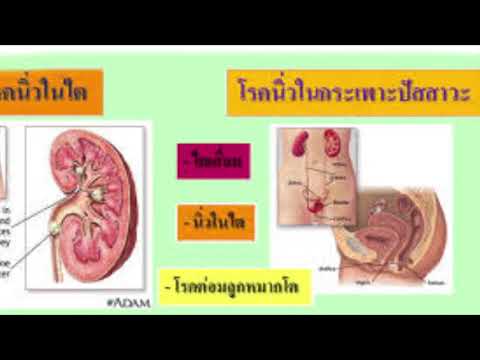อวัยวะเพศชายขนาดเล็ก 12 ปรับปรุงยาแรงชาย