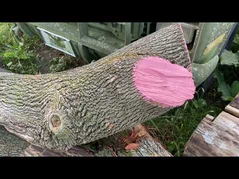 Why We Paint Log Ends — Moisture & Checking Control