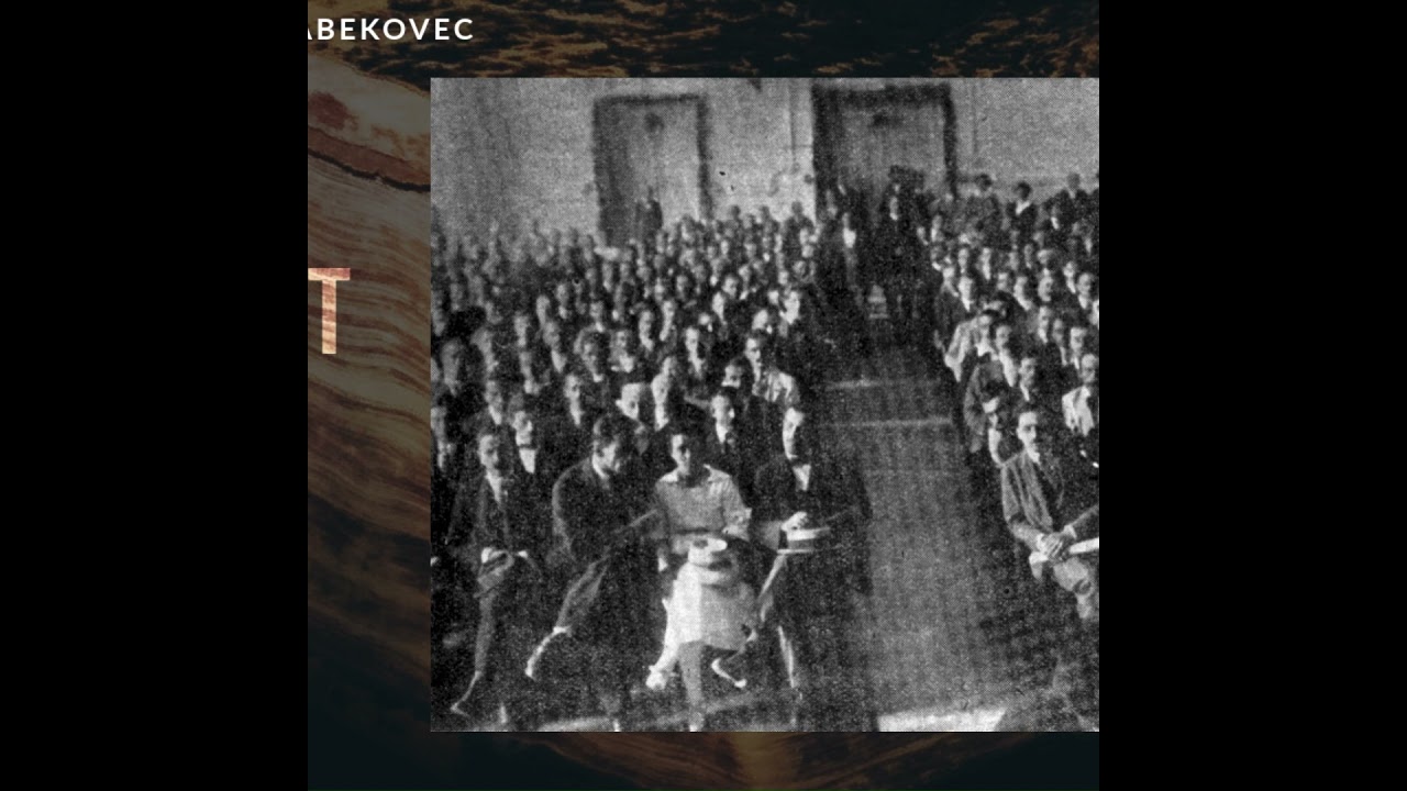 Komunistička partija Jugoslavije na izbore 1927. pokušava s disidentima HSS-a #povijestplus #shorts