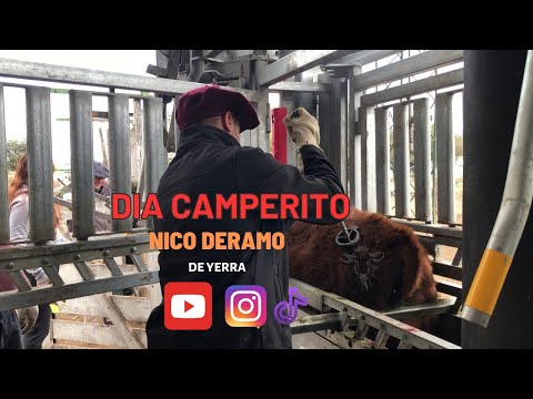 DE YERRA EN EL CAMPO!! _NICO DERAMO