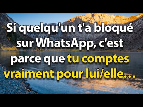 Si quelqu'un t'a bloqué sur WhatsApp, c'est que tu es TRÈS IMPORTANT(E) dans sa vie | Stoïcisme