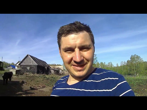 Своё хозяйство - свой навоз//Удобряем огород