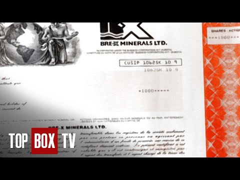 How The Bre-X Gold Mine Scandal Swindled Thousands - Masterminds - Fools Gold