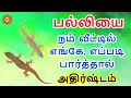பல்லியை எங்கே எப்படி பார்த்தால் அதிர