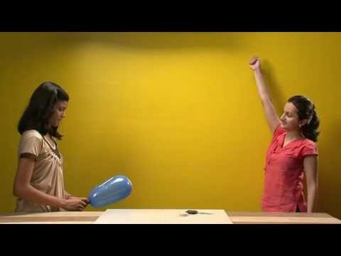 Newtons Third Law of Motion