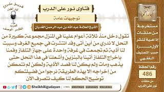 صورة من قام بإخراج النحل من بيته بإحراق هذا النحل ماذا عليه؟📔 الشيخ عبدالله الغديان