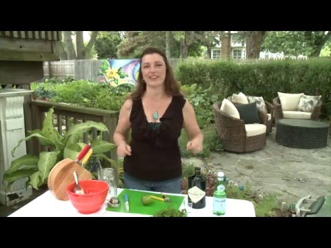 Parsley Lime Gin Rickey Cocktail