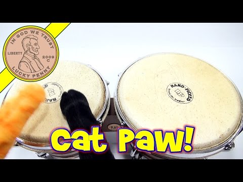 Cat Paws - Feel The Furry, Wicked Cool Toys Video