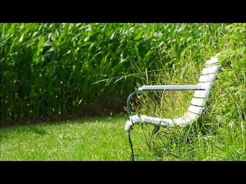 Stufe 5 - Gehversuch