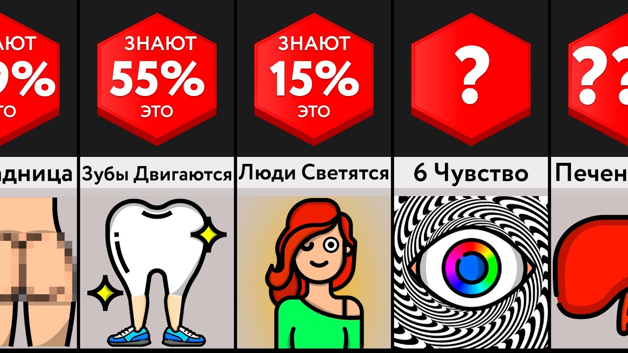 Секреты Нашего Тела