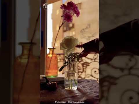 Promotional Video for Spring Flower