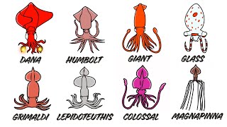 Every SQUID Explained - it Gets CREEPIER The Deeper You Go