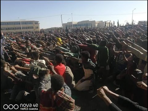 #ethiopian_music() ደፋሩ ጌትነት ፋኖወቺን በሀገር ፍቅር ያስለቀሰው