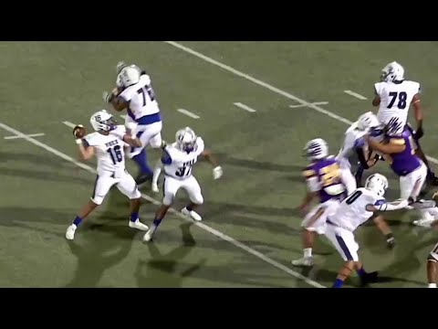 Lanier v. Brackenridge