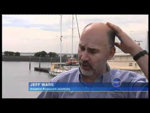 DolHarass10News7jan11.wmv