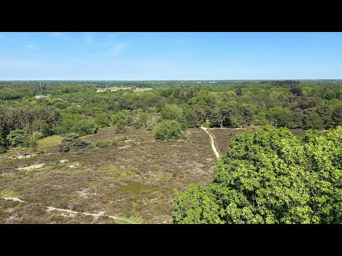 Wandelen over het Pieterpad - etappe 10 - Ommen-Hellendoorn