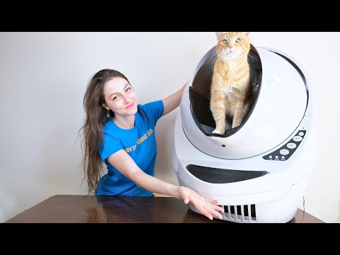 Litter Robot 3 Connect [SELF CLEANING CAT LITTER] - Image 2