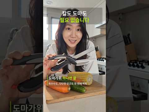 루아르모 도마가위