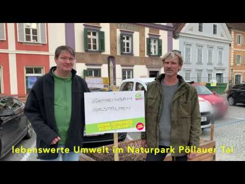 Die Grünen Pöllau Gemeinderatswahl 2020