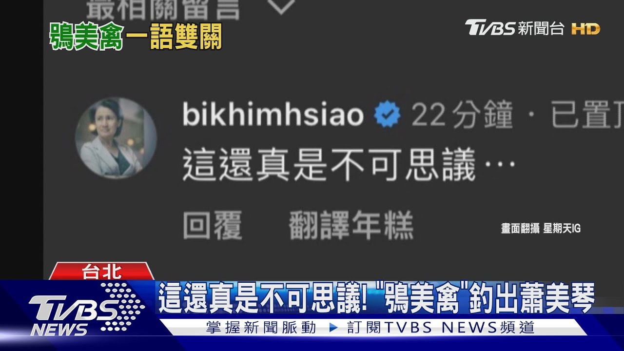 這還真是不可思議！「鴞美禽」釣出蕭美琴　藍綠戰火延伸至美學界