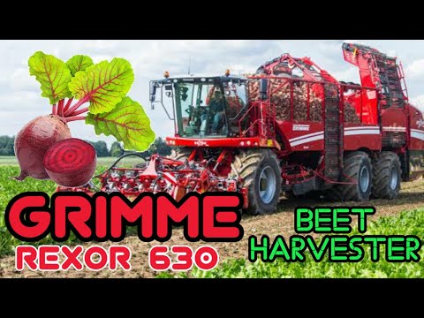 GRIMME | rexor 630 | 3 Axle beet harvester