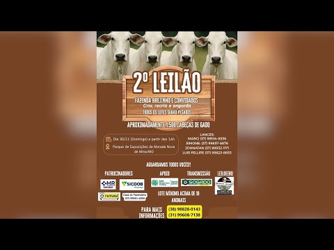 2º LEILÃO FAZENDA BREJINHO E CONVIDADOS - MORADA NOVA DE MINAS/MG - 30/11/2025