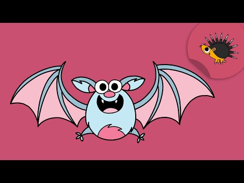 Fledermaus | Ich kenne ein Tier