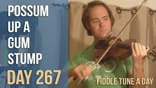 Possum Up a Gum Stump - Fiddle Tune a Day - Day 267