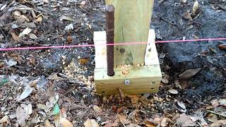 How to put in a Fence Post Roots/Tree Stump