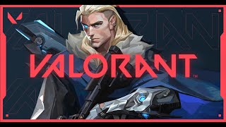 脱センチネルVALORANT