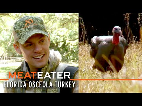 Spring Break: Florida Osceola Turkey | S4E09 | MeatEater