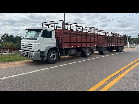 Hoy cargamos piezas de cría con el Flaco para Treinta y Tres #camioneros #vw #camion #vaca #17220 