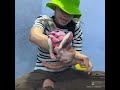Mommy What Is That Monkey