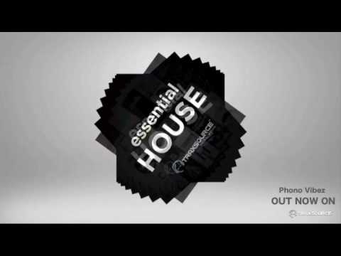 Phono Vibez - Let me luv u