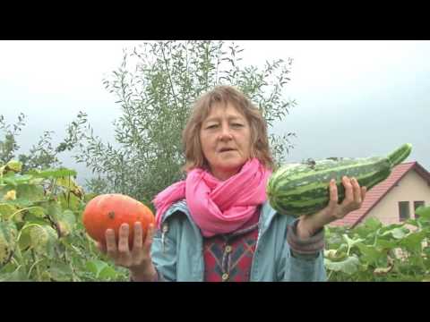 ORYGINALE, AUTENTYCZNE I SPRAWDZONE - EKOCENTRUM ICPPC