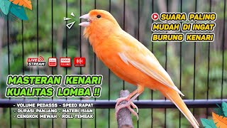 Download lagu Kenari GACOR NGEREK‼️ Masteran Kenari PAUD dan Pancingan Kenari MACET BUNYI dan Betina NGIWIR - 127 mp3
