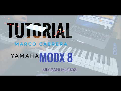 #tutorial #worship #banimuñoz #MODX8 Bani Muñoz - Puente (vivo danzando / Algo Nuevo Empezo