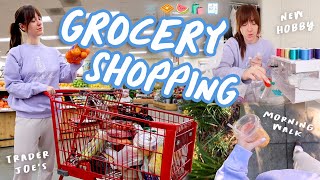 Grocery Shopping @ Trader Joes + New Hobby Epic Fail!!! Vlogmas Day 6