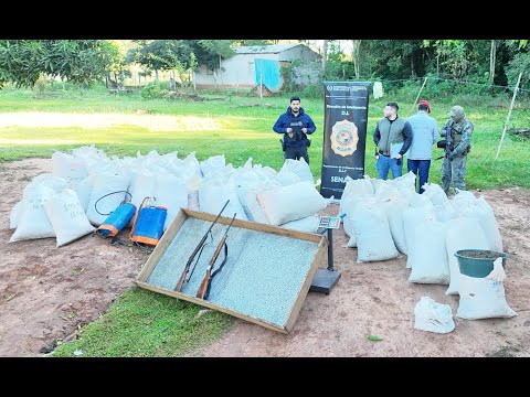 SENAD captura a hombre en Yby Pyta con más de una tonelada de marihuana