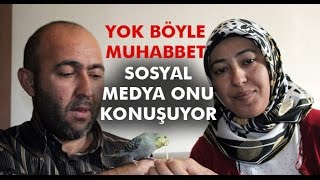 Muhabbet Kuşu Ailenin Bireyi Oldu