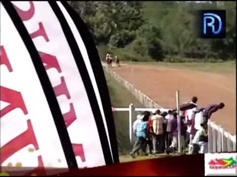 Silent Night- 2yrs old Guyana Bred Guyana Cup 2012
