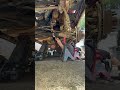 Replacing freeze plugs with the engine still in the truck #tools #mechanic #engine ne