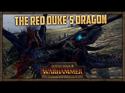 [96] The Red Duke & How To Beat Wood Elves - Total War: Warhammer Online Battle | SurrealBeliefs