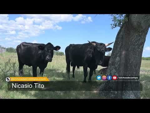 Nicasio Tito, dirigente de Federación de Asociaciones Rurales de Entre Ríos (Farer)