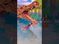 Dinosaur Cartoon Video Trip To Jurassic World Angry Dinosaurus Dinosaur Cartoon Dinosaurus